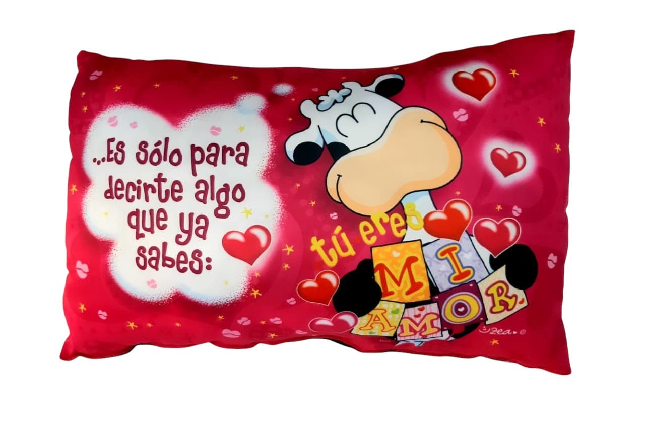 ALMOHADA GRANDE