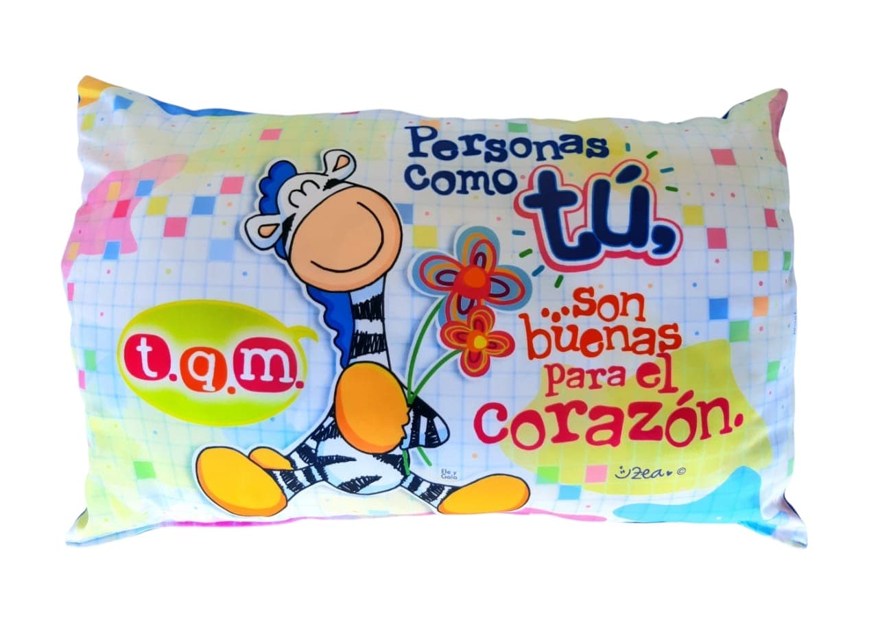 ALMOHADA GRANDE