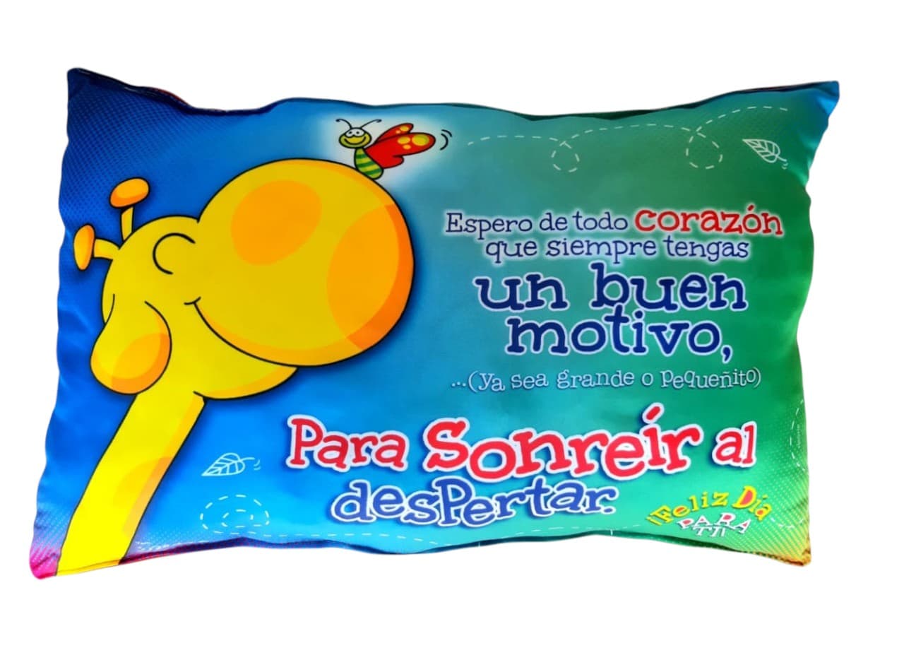 ALMOHADA GRANDE