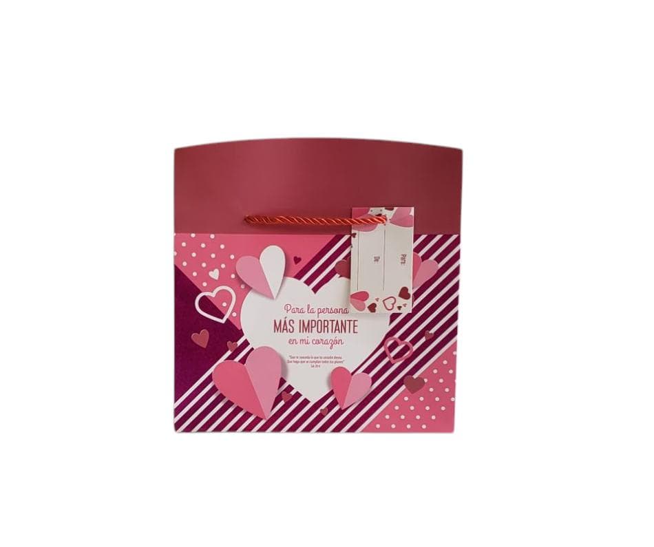 BOLSA CAJA MEDIANA - imagen 2