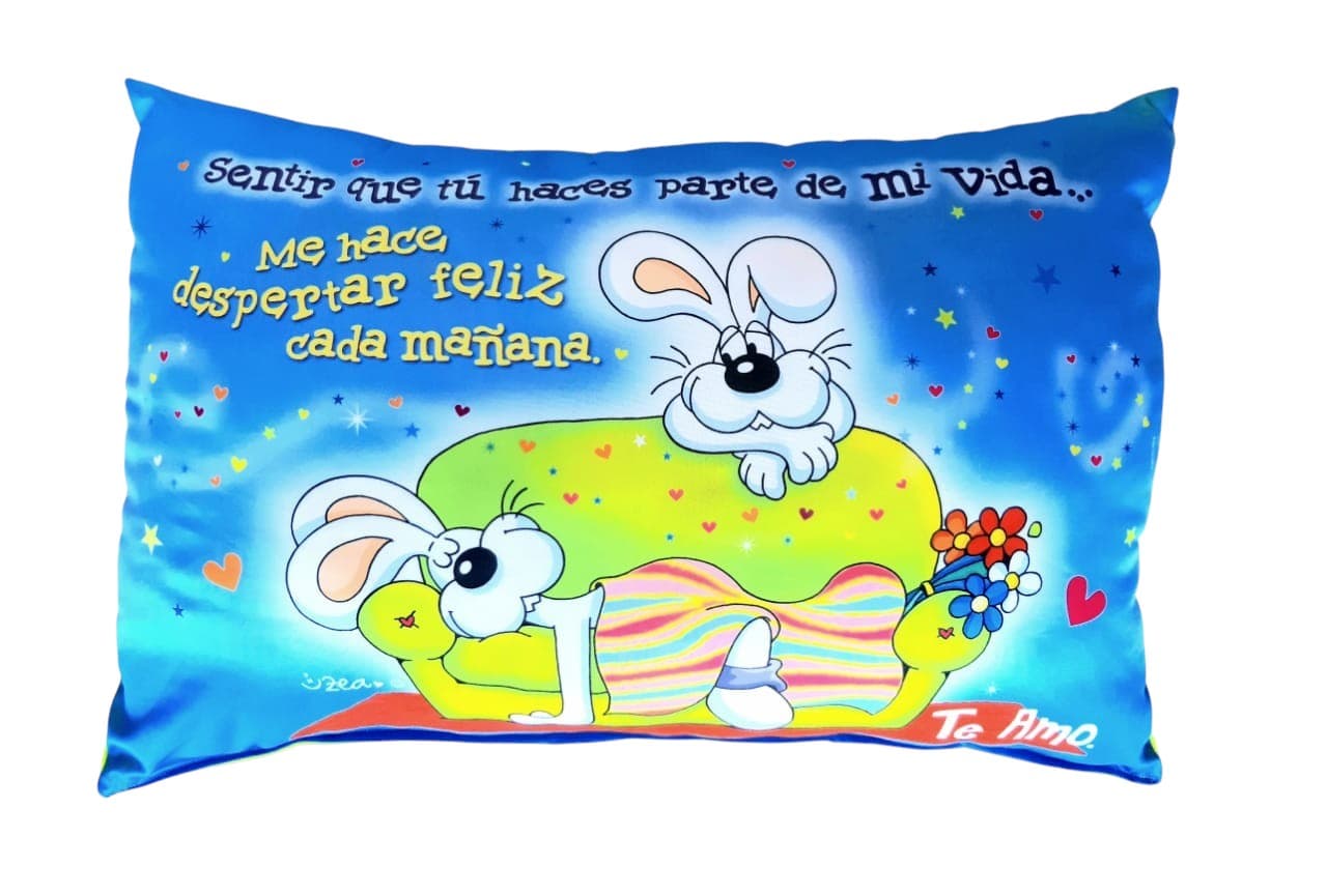 ALMOHADA GRANDE