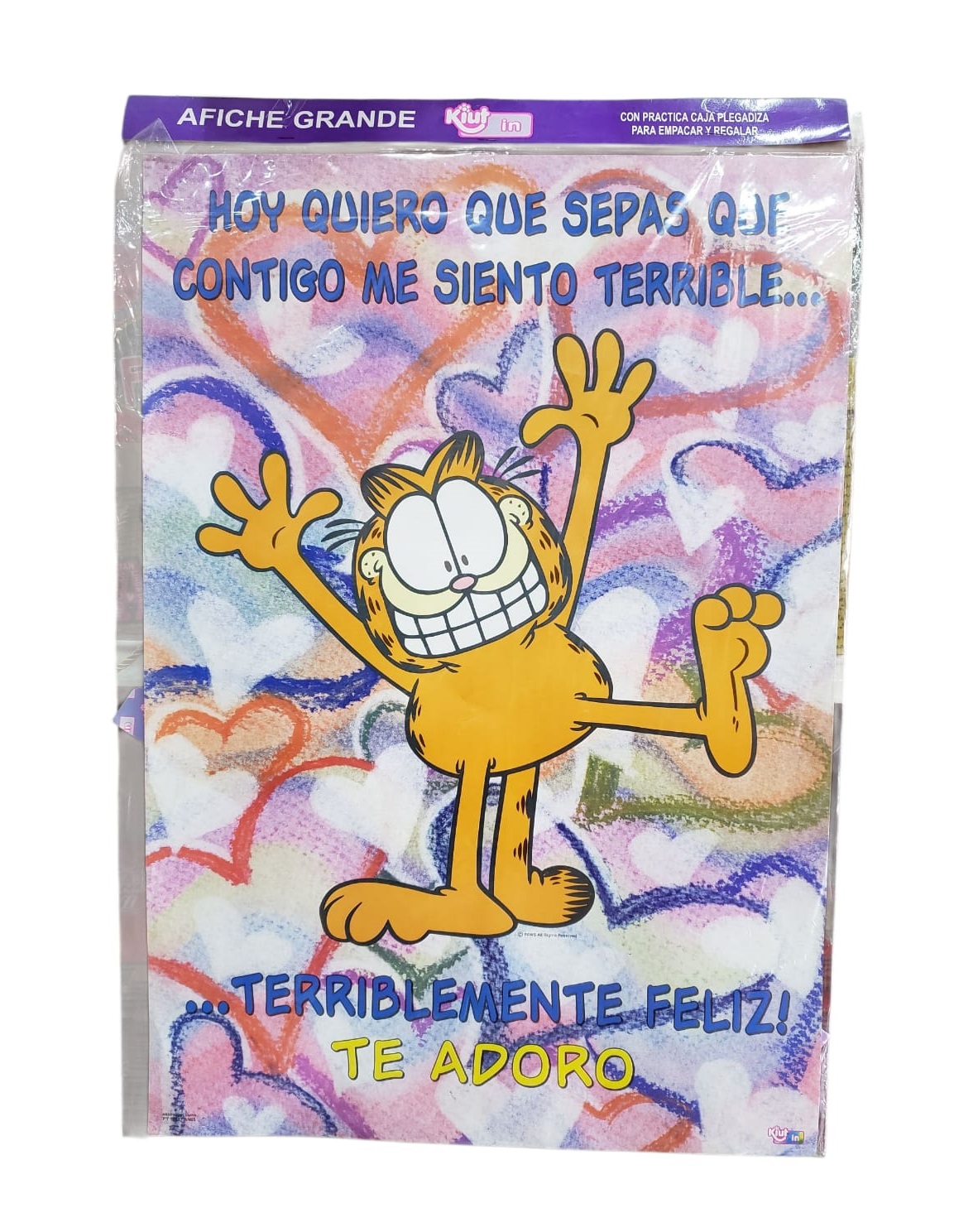 AFICHE GRANDE